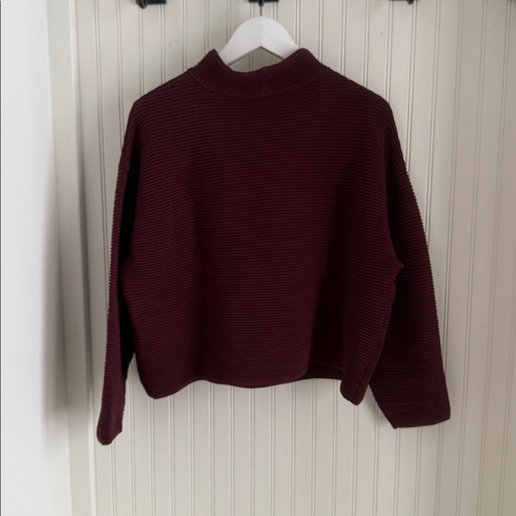 Babaton Aritzia Ambrosio Turtleneck in Burgundy and Black - Picture 6 of 9